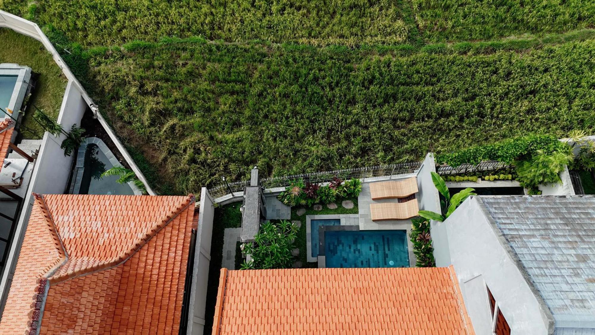 Weda Villas Ubud Kültér fotó