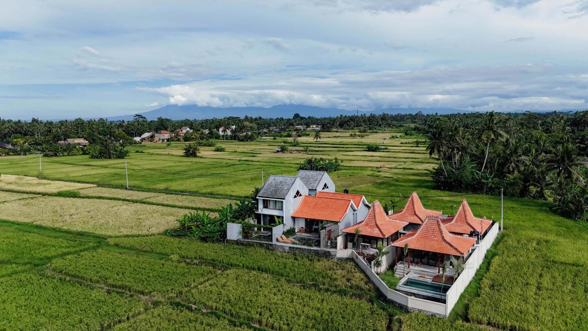 Weda Villas Ubud Kültér fotó
